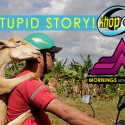 M&R Stupid Story!